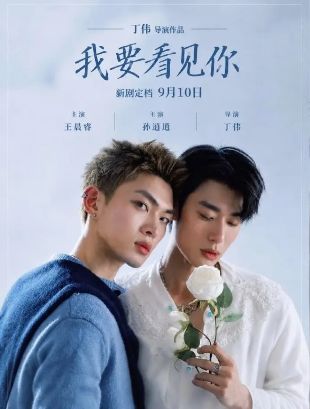 《我要看见你》(2026)剧情介绍、演员阵容及夸克/百度网盘资源（持续更新）海报或剧照